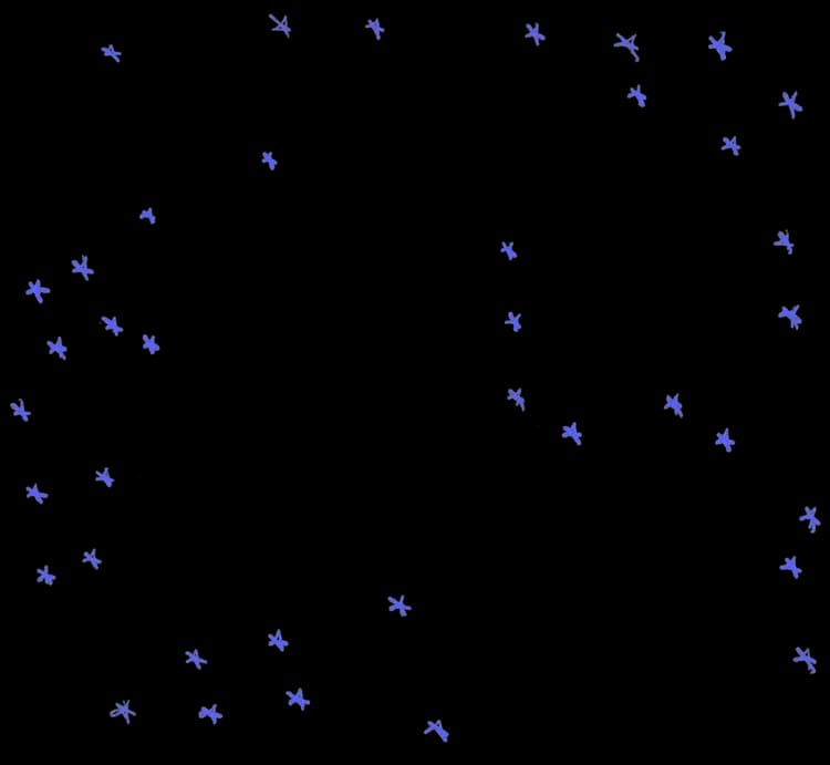 Animated Stars