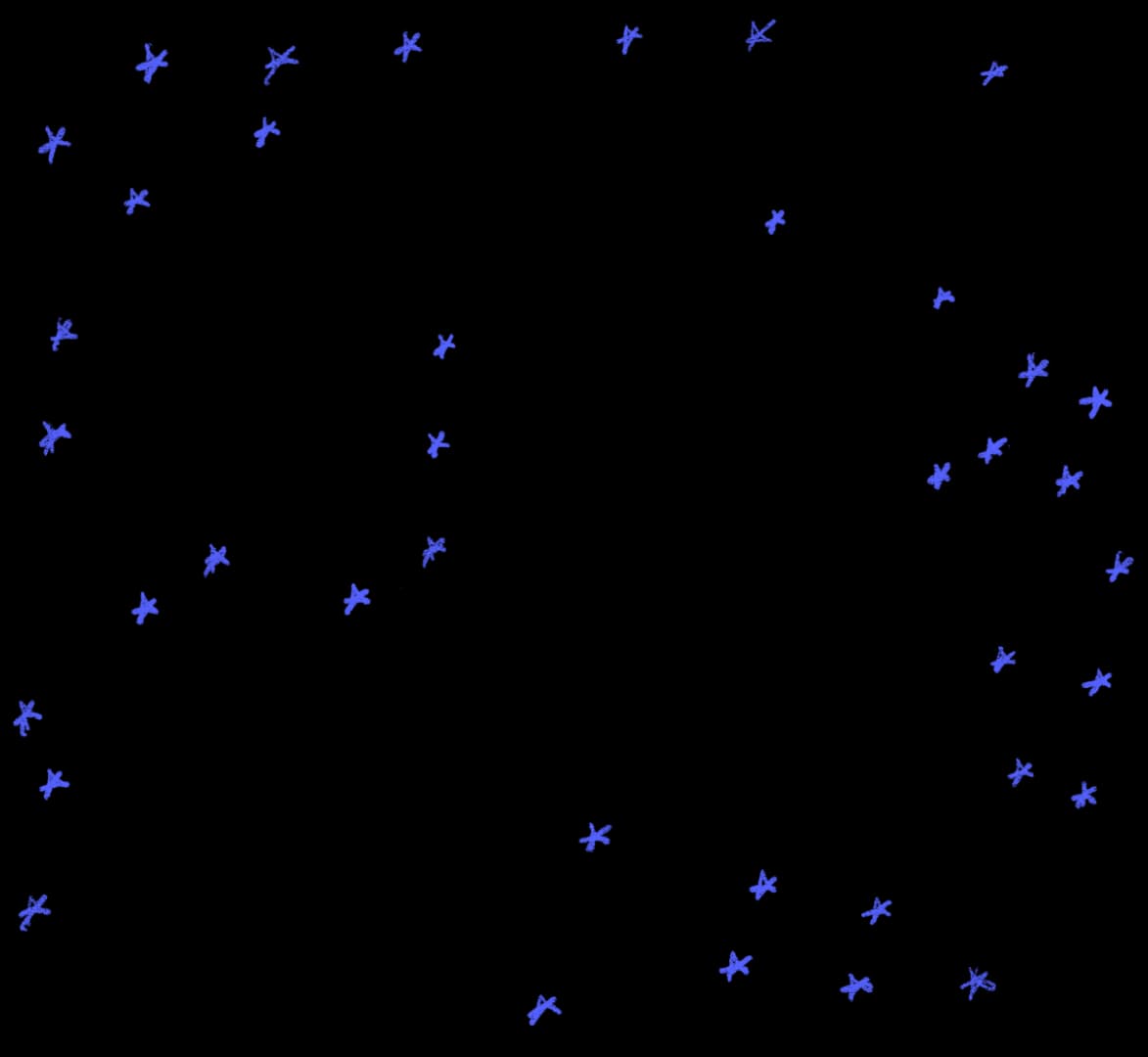 Stars